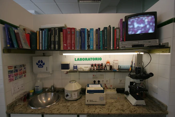 Zona de laboratorio de la veterinaria